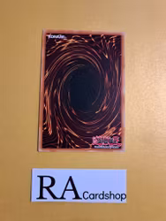 Worlds Legacys Nightmare Common MP19-EN039 1st Edition Gold Sarcophagus Tin Mega Pack 2019 MP19 Yu-Gi-Oh