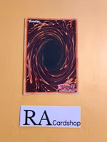 Chain Hole Super Rare DANE-EN077 Dark Neostorm DANE Yu-Gi-Oh