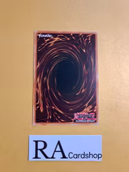 Chaos Betrayer Rare DANE-EN021 Dark Neostorm DANE Yu-Gi-Oh