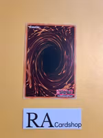 World Legacy Guardragon Mardark Rare DANE-EN018 Dark Neostorm DANE Yu-Gi-Oh