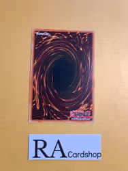 World Legacy Guardragon Mardark Rare DANE-EN018 Dark Neostorm DANE Yu-Gi-Oh