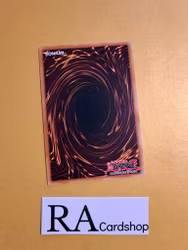 Assault Mode Zero Common DANE-EN055 Dark Neostorm DANE Yu-Gi-Oh