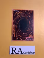 Stand In Common DANE-EN066 Dark Neostorm DANE Yu-Gi-Oh