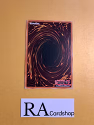 Stand In Common DANE-EN066 Dark Neostorm DANE Yu-Gi-Oh