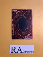 Crusadia Testament Common DANE-EN061 Dark Neostorm DANE Yu-Gi-Oh