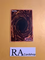 Speedlift Common DANE-EN096 Dark Neostorm DANE Yu-Gi-Oh