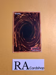 Speedlift Common DANE-EN096 Dark Neostorm DANE Yu-Gi-Oh