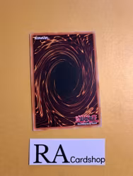 Super Quantal Alphancall Appeal Common DANE-EN056 Dark Neostorm DANE Yu-Gi-Oh