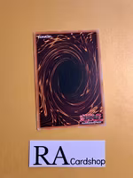 Sryujas Shackles Common DANE-EN082 Dark Neostorm DANE Yu-Gi-Oh