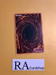 Sryujas Shackles Common DANE-EN082 Dark Neostorm DANE Yu-Gi-Oh