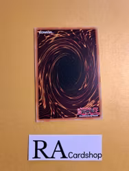 Super Quantal Union Magnaformation Common DANE-EN071 Dark Neostorm DANE Yu-Gi-Oh