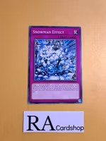 Snowman Effect Common DANE-EN079 Dark Neostorm DANE Yu-Gi-Oh