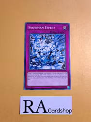 Snowman Effect Common DANE-EN079 Dark Neostorm DANE Yu-Gi-Oh