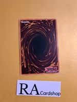 Altergeist Dragvirion Common DANE-EN033 Dark Neostorm DANE Yu-Gi-Oh