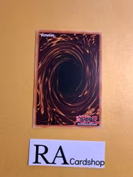 Cyberse Reminder Common DANE-EN040 Dark Neostorm DANE Yu-Gi-Oh