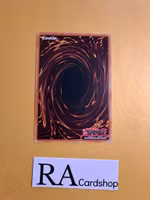 Crealtar The Impcantation Orginator Common DANE-EN029 Dark Neostorm DANE Yu-Gi-Oh