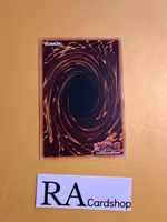 Puzzlomino, the Drop-n-Deleter Common DANE-EN049 Dark Neostorm DANE Yu-Gi-Oh