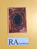 Celestial Sword - Eatos Super Rare DRLG-EN011 1st Edition Dragons of Legend DRLG Yu-Gi-Oh