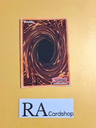 Celestial Sword - Eatos Super Rare DRLG-EN011 1st Edition Dragons of Legend DRLG Yu-Gi-Oh