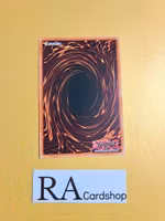 Dinowrestler Valeonyx Common CHIM-EN007 1st Edition Chaos Impact CHIM Yu-Gi-Oh