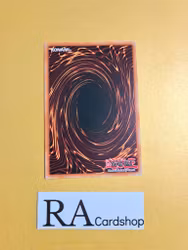 Dinowrestler Valeonyx Common CHIM-EN007 1st Edition Chaos Impact CHIM Yu-Gi-Oh