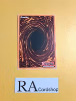 Action Magic - Full Turn Common CHIM-EN093 1st Edition Chaos Impact CHIM Yu-Gi-Oh