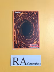 Action Magic - Full Turn Common CHIM-EN093 1st Edition Chaos Impact CHIM Yu-Gi-Oh