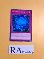 Marincess Snow Common CHIM-EN067 1st Edition Chaos Impact CHIM Yu-Gi-Oh