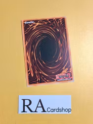 Marincess Snow Common CHIM-EN067 1st Edition Chaos Impact CHIM Yu-Gi-Oh