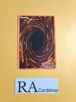 Rope of Life Common 5DS3-EN033 1st Edition Starter Deck: Duelist Toolbox 5DS3 Yu-Gi-Oh