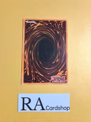 Gaia Knight, the Force of Earth Common 5DS3-EN041 1st Edition Starter Deck: Duelist Toolbox 5DS3 Yu-Gi-Oh