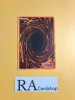 X-Saber Urbellum Common 5DS3-EN040 1st Edition Starter Deck: Duelist Toolbox 5DS3 Yu-Gi-Oh