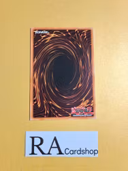 X-Saber Urbellum Common 5DS3-EN040 1st Edition Starter Deck: Duelist Toolbox 5DS3 Yu-Gi-Oh