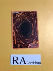 Mystic Macrocarpa Seed Common LVAL-EN035 1st Edition Legacy of the Valiant LVAL Yu-Gi-Oh