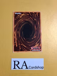 Overlay Booster Common LVAL-EN006 1st Edition Legacy of the Valiant LVAL Yu-Gi-Oh