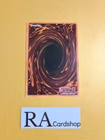 Mighty Warrior Common LVAL-EN096 1st Edition Legacy of the Valiant LVAL Yu-Gi-Oh