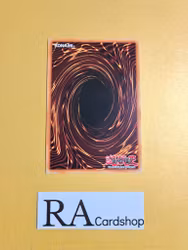 Mighty Warrior Common LVAL-EN096 1st Edition Legacy of the Valiant LVAL Yu-Gi-Oh