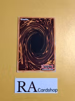 Blade Knight Common YS11-EN014 1st Edition Starter Deck: Dawn of the Xyz YS11 Yu-Gi-Oh