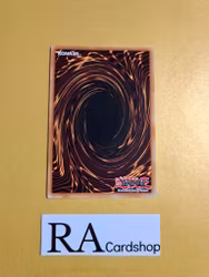 Blade Knight Common YS11-EN014 1st Edition Starter Deck: Dawn of the Xyz YS11 Yu-Gi-Oh