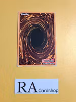 Reinforced Space Common YS11-EN031 1st Edition Starter Deck: Dawn of the Xyz YS11 Yu-Gi-Oh