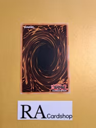 Masters Diploman Common MP22-EN136 1st Edition Tin of the Pharaohs Gods 2022 MP22 Yu-Gi-Oh