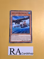 Blackeyes, the Plunder Patroll Seaguide Common MP22-EN065 1st Edition Tin of the Pharaohs Gods 2022 MP22 Yu-Gi-Oh