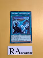 Majestic Absorption Common MP22-EN153 1st Edition Tin of the Pharaohs Gods 2022 MP22 Yu-Gi-Oh