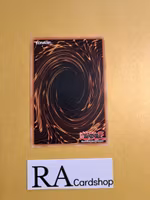 Majestic Absorption Common MP22-EN153 1st Edition Tin of the Pharaohs Gods 2022 MP22 Yu-Gi-Oh