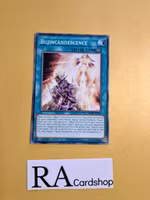 Bujincandescence Common MP22-EN097 1st Edition Tin of the Pharaohs Gods 2022 MP22 Yu-Gi-Oh