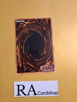 Bujincandescence Common MP22-EN097 1st Edition Tin of the Pharaohs Gods 2022 MP22 Yu-Gi-Oh