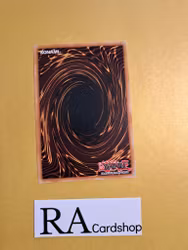 Bujincandescence Common MP22-EN097 1st Edition Tin of the Pharaohs Gods 2022 MP22 Yu-Gi-Oh