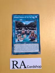 Hidden Springs of the Far East Common MP22-EN101 1st Edition Tin of the Pharaohs Gods 2022 MP22 Yu-Gi-Oh