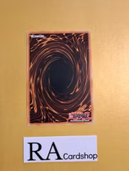 Hidden Springs of the Far East Common MP22-EN101 1st Edition Tin of the Pharaohs Gods 2022 MP22 Yu-Gi-Oh