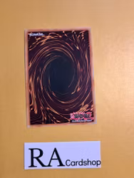 Beetrooper Fly & Sting Common MP22-EN179 1st Edition Tin of the Pharaohs Gods 2022 MP22 Yu-Gi-Oh